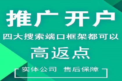 SEM代理服务：案例分享，效果显著