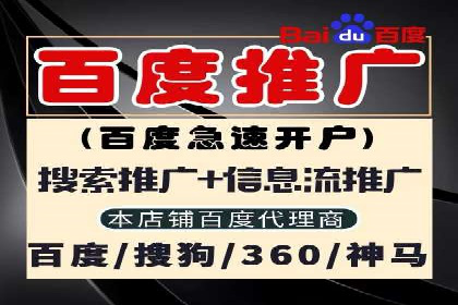 精准投放，高效转化——网站sem托管的胜利案例